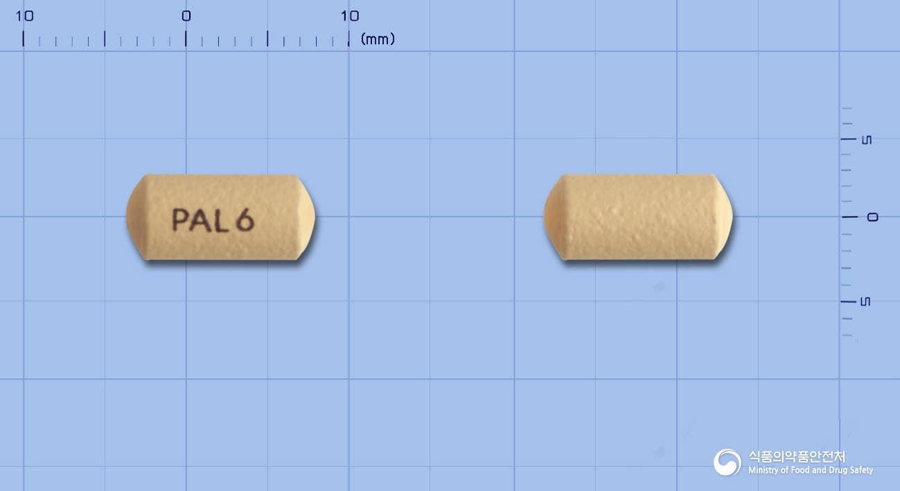 인베가서방정 6mg