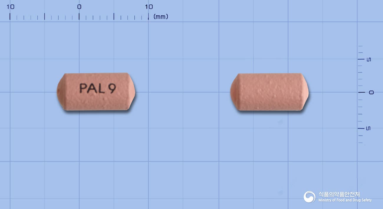 인베가서방정 9mg