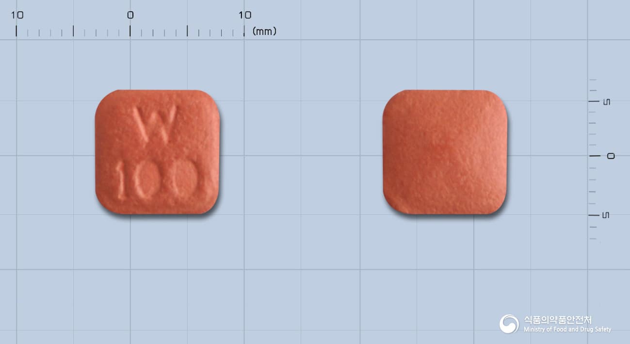프리스틱서방정 100mg