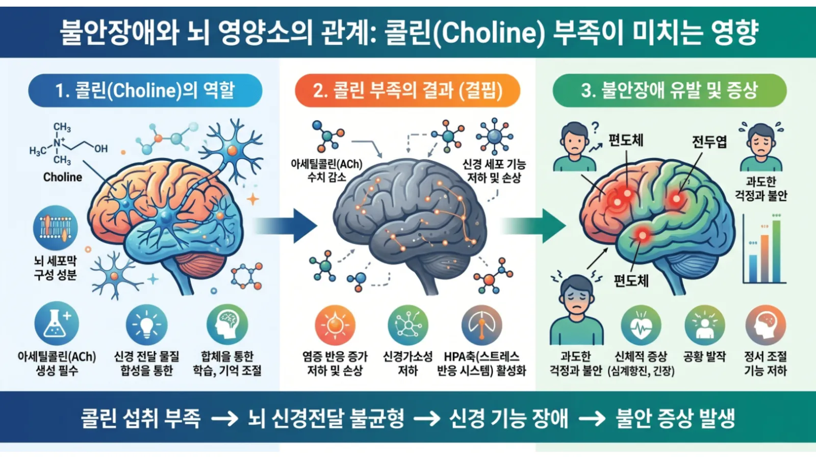 콜린과불안장애