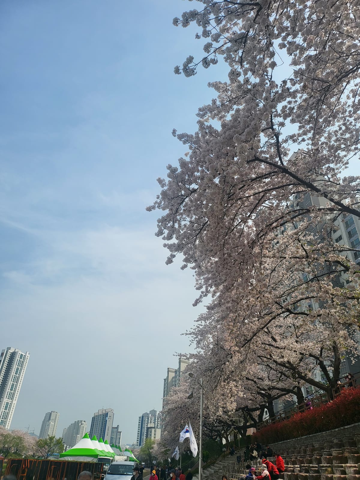 KakaoTalk_20230330_161232063.jpg