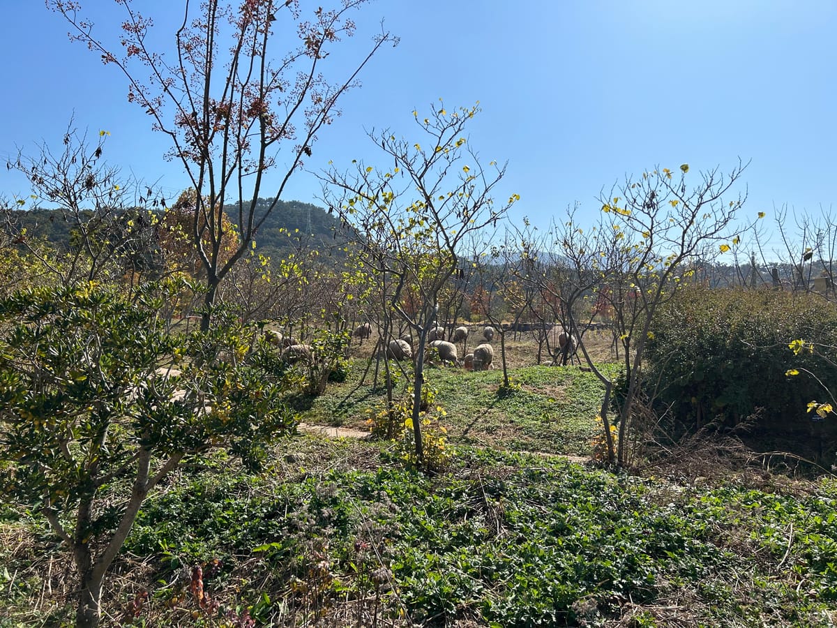 KakaoTalk_20231102_114706033.jpg